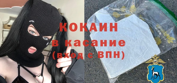 прущие грибы Богородицк