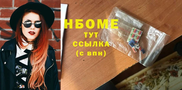 прущие грибы Богородицк