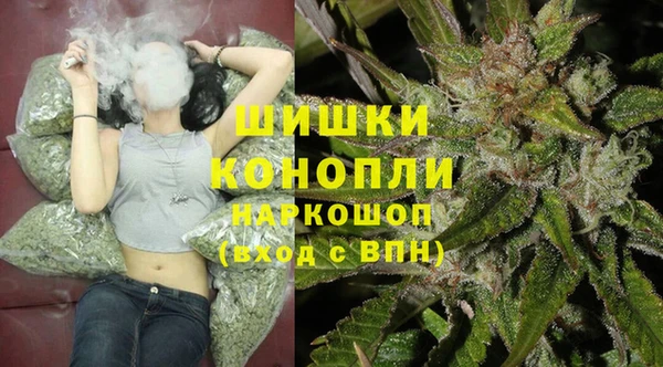 прущие грибы Богородицк