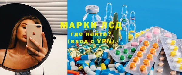 прущие грибы Богородицк