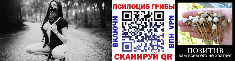 Галлюциногенные грибы MAGIC MUSHROOMS  Мезень 